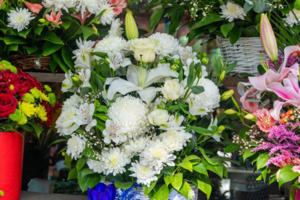 flower delivery cammeray