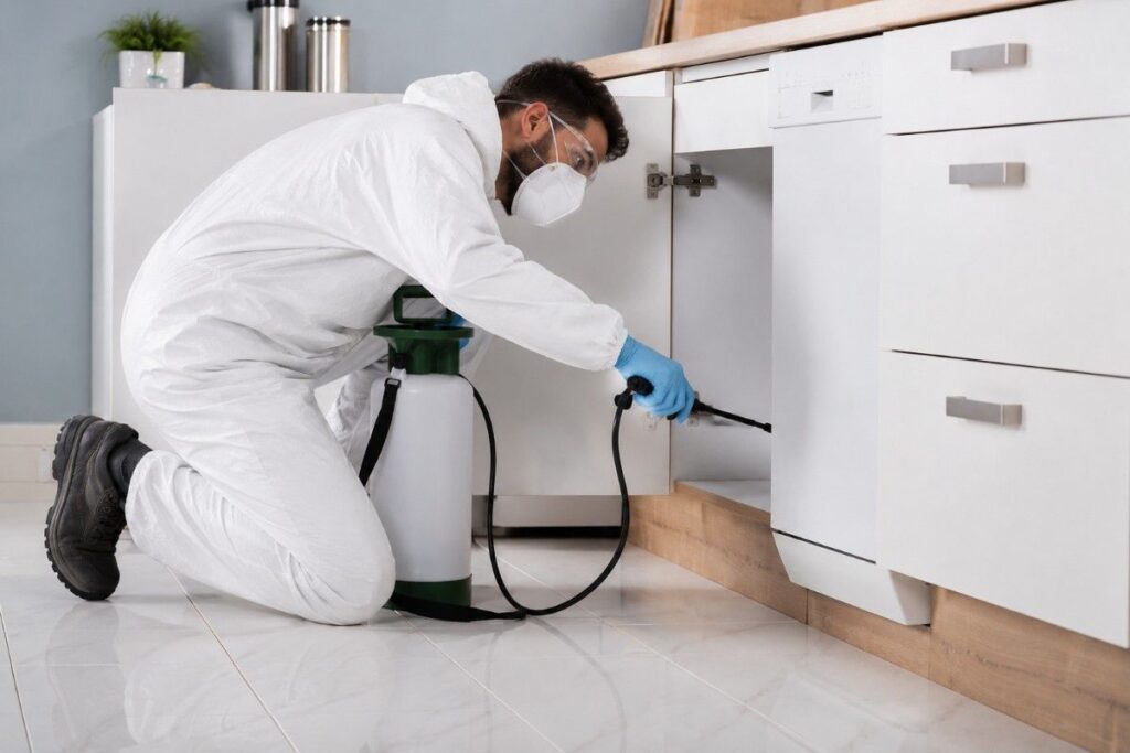 Pest Control